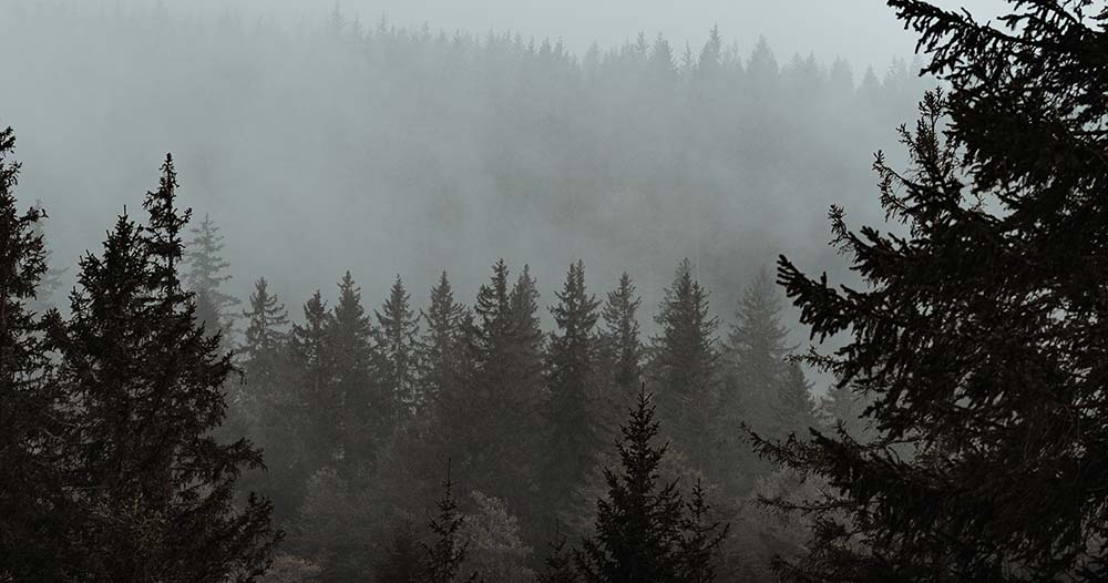 Forestique thunderstorm 